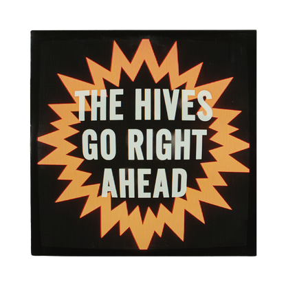 Go Right Ahead 7’’ Vinyl